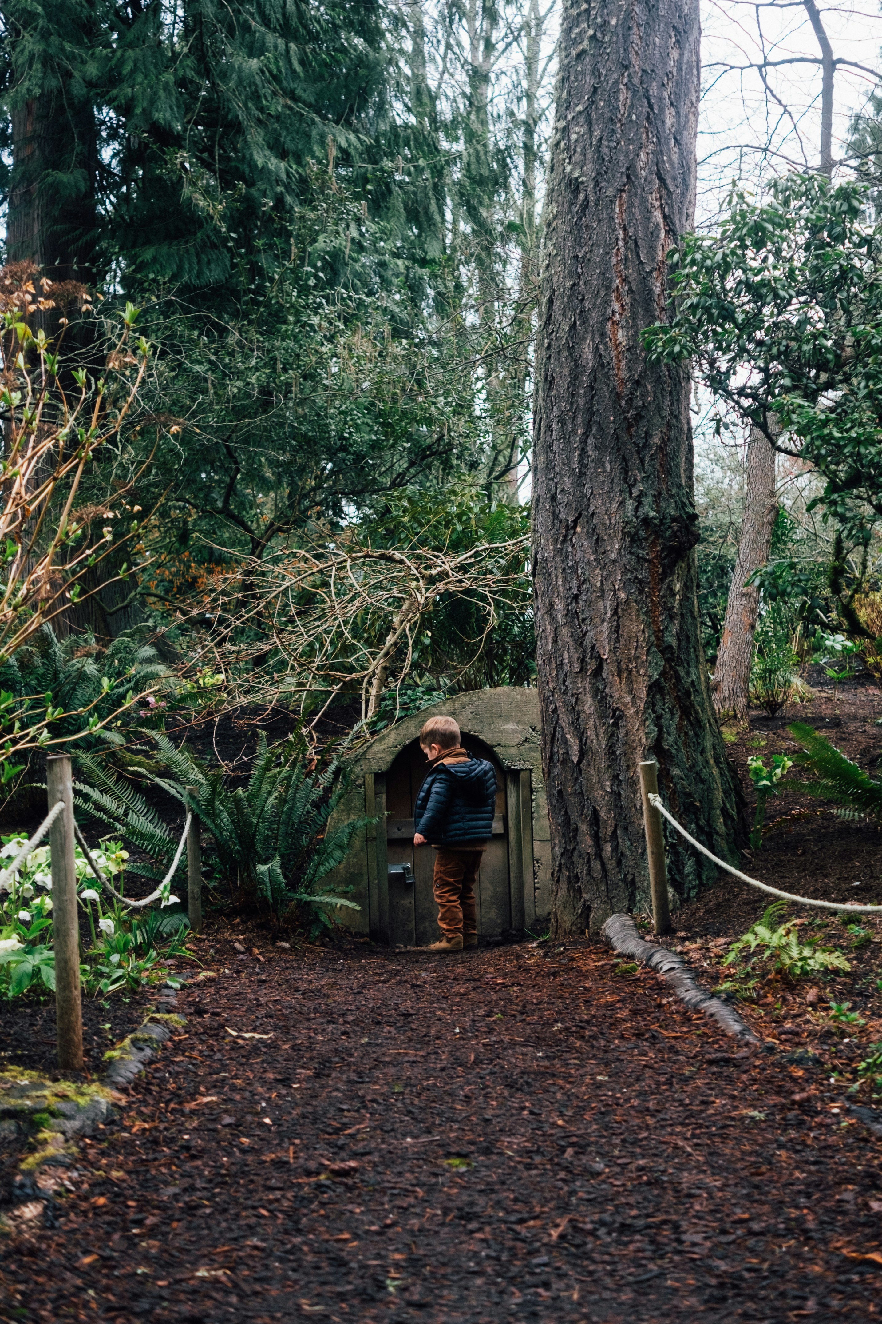 woman in black jacket and blue denim jeans standing beside brown tree during daytime